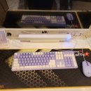 팽피씨카페 이미지