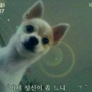 한투어