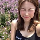 보름;꽃 이미지