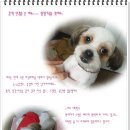 안경마루 이미지