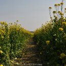 황산공원 이미지