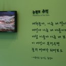 섬진강캠핑장 이미지