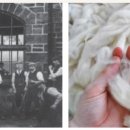 원단양농장 이미지