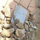 영양중앙초교병설유치원 이미지