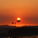 붉은노을 이미지