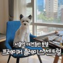 디에스디엘(주) 프레이저플레이스 센트럴 호텔 | 서울 애견동반 호텔 프레이저 플레이스 센트럴 호캉스 후기