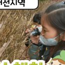 순수갸또