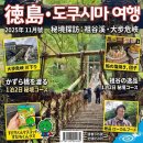 도시로 떠나는 문학여행 | 일본 소도시 도쿠시마 여행 『3』。자연으로 떠나는 일일 버스투어 : 이야노 카즈바라시