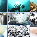 (주)보타메디 이미지