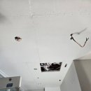 당미길 | 세종 음악연습실 개나리 프리모 전체 시공 후기✨️🖐