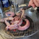 벌떡꼼장어