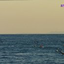 호텔모모주스 이미지