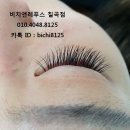 비치앤레푸스 이미지