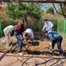 의료법인 축령복음병원 이미지