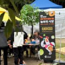 춘천막국수 | [춘천] 2025 춘천 막국수 닭갈비 축제 후기