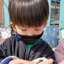 매화정원어린이집 이미지