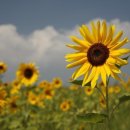 모먼트 미술 이미지