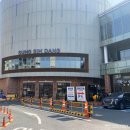 [대전 성심당 DCC점] 케익부띠끄 케익종류 딸기시루막내 구입후기