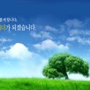 동아화성㈜ 이미지