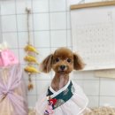 냉큼, 오레오 이미지