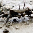 서산글램핑 이미지