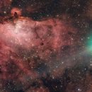 Seed of Li 이미지