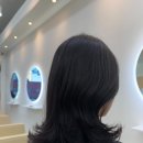 봄;살롱 이미지