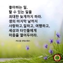 🌺🍒희망을 주는 아침 햇살 이미지