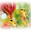 아름다운인연 이미지