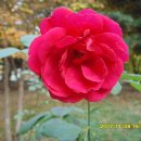 인간의 대지-비행 이미지