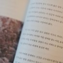 초록초록 가드닝 이미지