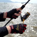 제이비 인터네셔널 이미지