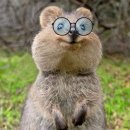 경일고등학교 이미지