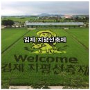 김제 지평선축제 이미지