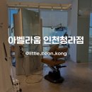 이안상사 | 인천 서구 청라 미용실 아벨라움 인천청라점 미용실 추천 애견동반