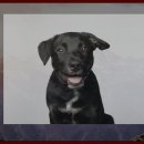 연곡해변관광지 이미지