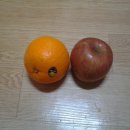 사과약국 이미지