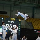 팀케이태권도장 네이버블로그