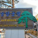 (주)소풍관광