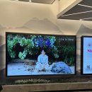 약속 | 호시노 겐 내한 콘서트 <약속> 후기 LIVE IN KOREA-<YAKSOK>