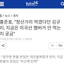 홍준표, “청산가리 먹겠다던 김규리, 지금은 미국산 햄버거 안 먹는지 궁금” 이미지