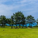 씨에스호텔앤리조트 이미지