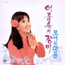 이영숙 카카오 검색결과