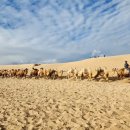 레일코리아 회원을 위한 특별한 해외철도문화여행 이미지