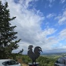 블랑민박 | 이태리 신혼여행 6일차 - 토스카나 poggio al sole 와이너리 투어, 피렌체 더 후기 :)