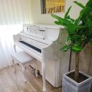 두정극동늘푸른아파트 이미지