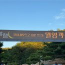 [축제/안동] 2025년 월영야행 솔직후기 (축제정보, 주차, 먹거리, 불꽃놀이 총정리)