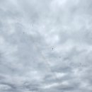 낙동강변16 | 안동 정월대보름 달집태우기 매년 가는 이유 🌕 | 2026 행사 정보 &amp; 다양한 체험 후기 총정리