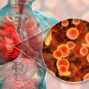 주식회사비씨월드제약 이미지