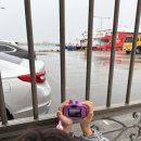 묵호주공~어달간 | 동해 묵호여행 / 고향가마솥국밥, 묵호항활어판매센터, 어달해수욕장포차 (8.16~17)